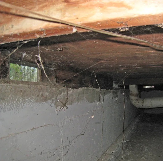 Crawl Space Water Removal in Eatonville, WA