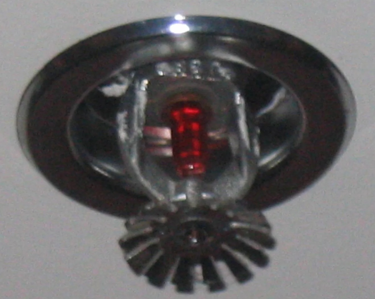 Sprinkler System Water Removal in Kenmore, WA