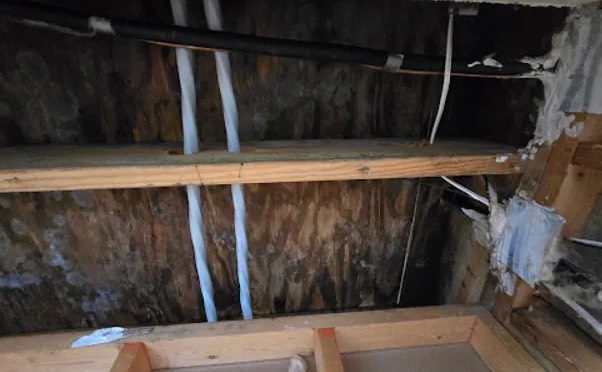 Attic Water Damage Restoration in Kenmore, WA