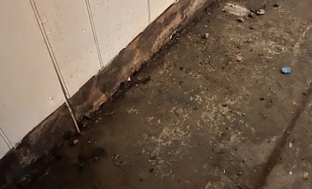 Contaminated Water Removal in Auburn, WA